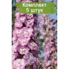 Саженцы дельфиниума Центурион Пинк (Centurion Pink) - 5 шт.: фото и описание